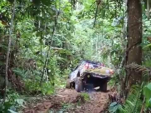 Driftin' - Borneo Safari 2016