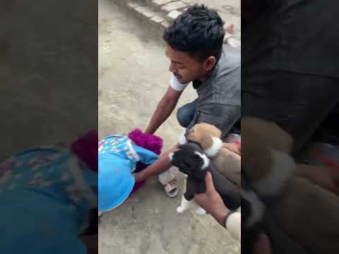 ￼ doggy #dogsdogsdogs ;)$