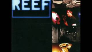 Lately Stomping  - Reef - Glow 1997