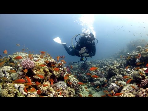 The Dive Sites of Dahab  (HD), Dahab - allgemein,Ägypten