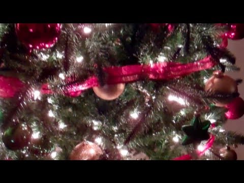 Karate Coyote - Holiday Video 2012