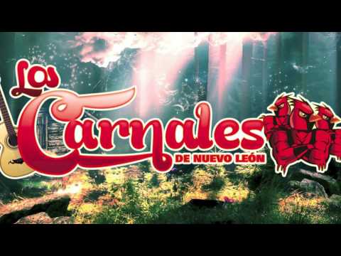 Los Carnales de Nuevo León - Obra de arte (Video Lyric)