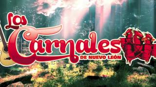 Los Carnales de Nuevo León - Obra de arte (Video Lyric)