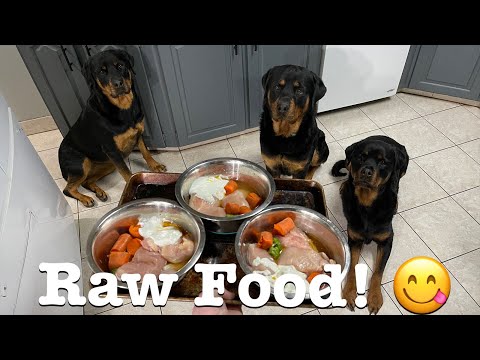 Raw Feeding Rottweilers Raw Food Diet