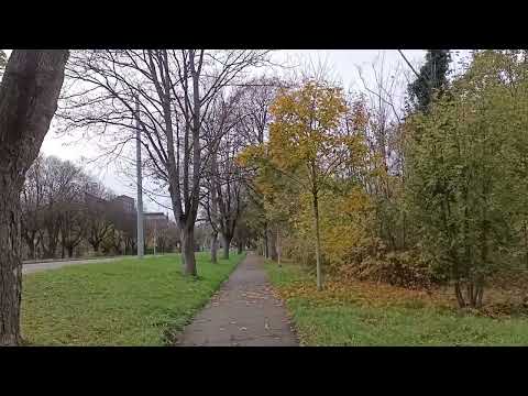 Beauty of neu ulm Germany 1057/10062024