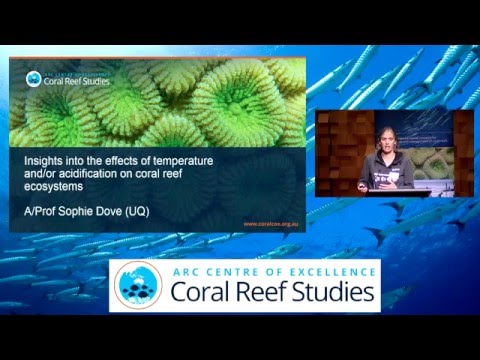 Sophie Dove - Insights into the effects of temperature and/or acidification on coral reef ecosystems
