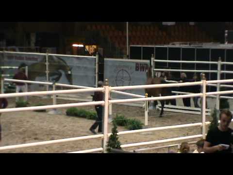 IQ du Marais DD (For Pleasure)