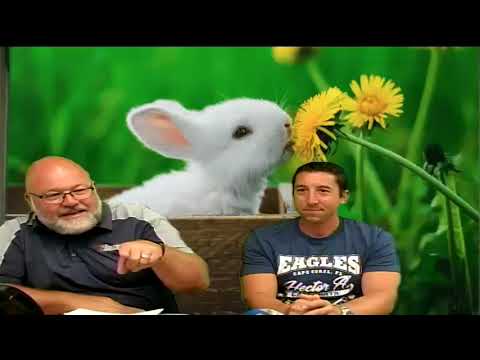 Hector Cafferata News Recording 570 PGM