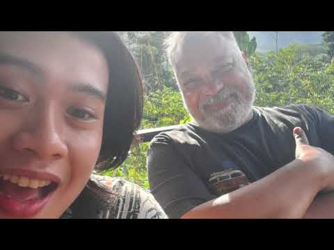 Back To Wonderland - Citrus Sun (Official Audio)