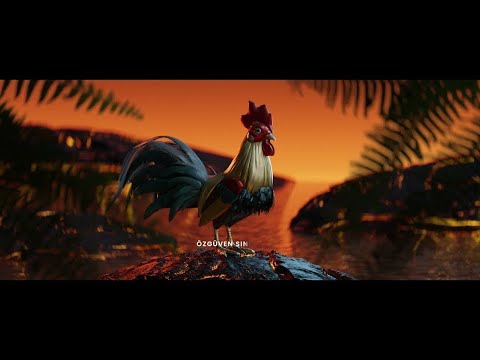 Video thumbnail for Akıyo