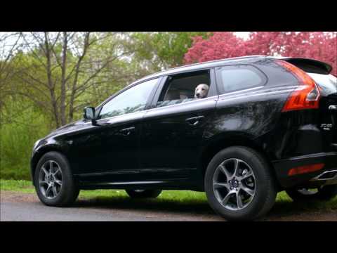 Ivanics, a járműszakértő