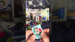 Panini World Cup Sticker