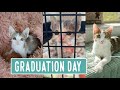 Graduation Day Maple May May