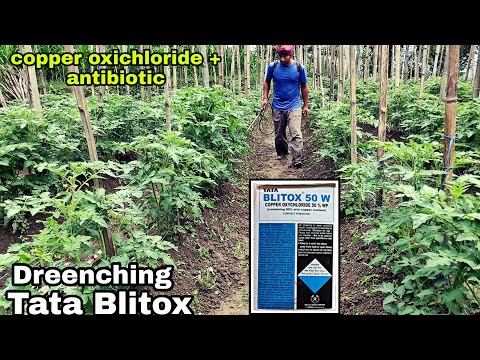 Blitox Contact Fungicide