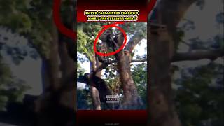 Download lagu PENYAMARAN SNIPER PRABOWO, TIDAK TERLIHAT MATA #bravo #shorts #siap55 mp3 Download lagu PENYAMARAN SNIPER PRABOWO, TIDAK TERLIHAT MATA #bravo #shorts #siap55 mp3