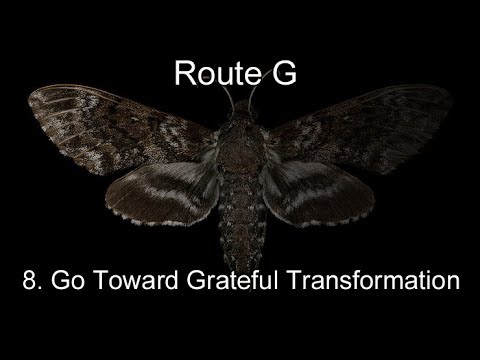 Pastor Harley Snode - 8. Go Toward Grateful Transformation - 6-25-17 Sun PM