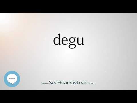 degu - Smart & Obscure English Words Defined 🗣🔊