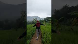 Download lagu Lihat sawah pagiku cerah #statuswa #short #sawah #pagihari #desaku mp3 Download lagu Lihat sawah pagiku cerah #statuswa #short #sawah #pagihari #desaku mp3