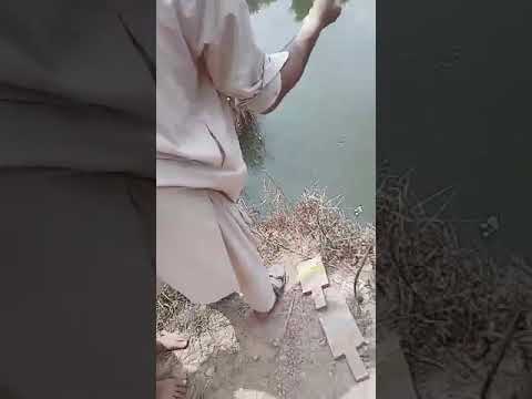 Amazing Fastest Giant Bluefin Tuna and Swordfish Fishing skill - Most Satisfying a Fishing Videos