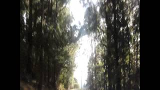 She&#39;s Leaving Home (COVER &amp; MUSIC VIDEO)