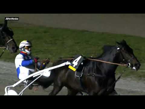 8° corsa - lunedì 26 dicembre 2022 - Gran Premio Città di Taranto