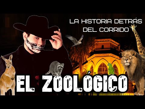 The Zoo: The Story Behind the Ballad