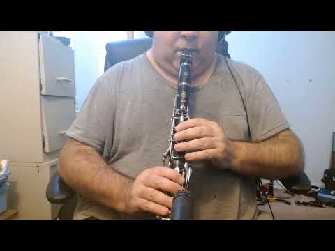 SELMER 10G Bb CLARINET - READY TO PLAY - DEMO VIDEO - GREAT! image 25
