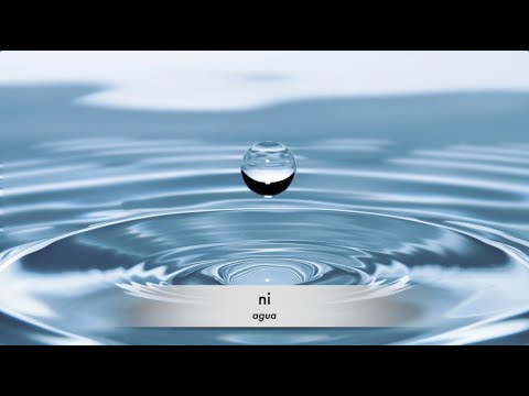 Let's Talk Taíno en español 16 - "Ni" (agua) en la cultura taína 🌀💧