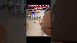 Carnival Glory Cruise Ship Tour 🚢 | Full Ship Tour with Dr. Fluff
