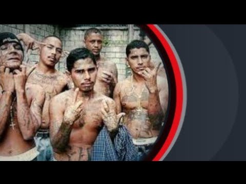 codigos de calle en rep dom vocabulario dominicano significado street codecs dom [djdarell]