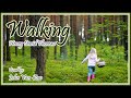 Walking A Lecture By Thoreau Audiobook