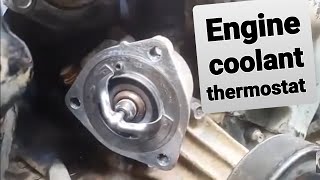 Nissan VG Engine Thermostat & Coolant Flush.
