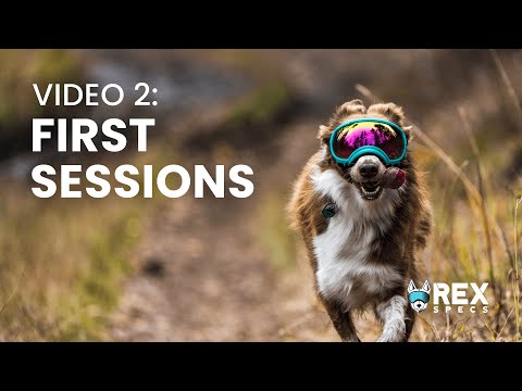 Rex Specs Training Video: First Sessions