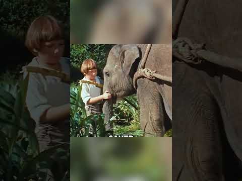La Vie Sur l’Île Sauvage