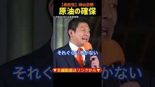 【ホルムズ海峡封鎖】エネルギー資源の確保｜神谷宗幣#参政党