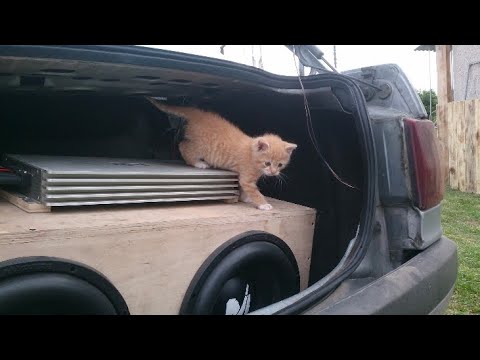 (33-37hz) Nebezao  x  Mastank feat.Rafal - Samolet