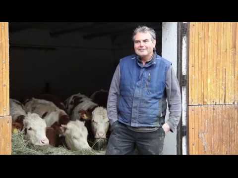 TAGWERK - Toni Wollschläger, Biofleisch Erzeuger