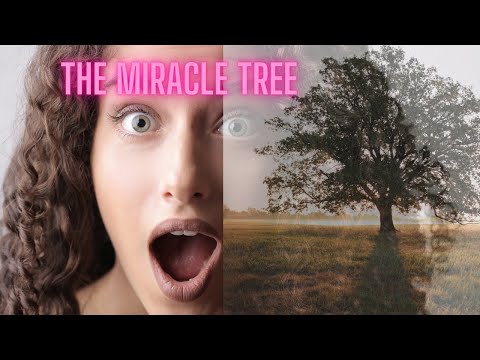 The Most Nutritious  Plant in The World - The Miracle Tree