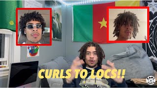 HOW I GOT MY LOCS!! (MIXED HAIR)