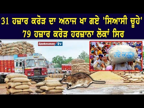 31 ਹਜ਼ਾਰ ਕਰੋੜ ਦਾ ਅਨਾਜ ਖਾ ਗਏ 'ਸਿਆਸੀ ਚੂਹੇ', 79 ਹਜ਼ਾਰ ਕਰੋੜ ਹਰਜ਼ਾਨਾ ਲੋਕਾਂ ਸਿਰ