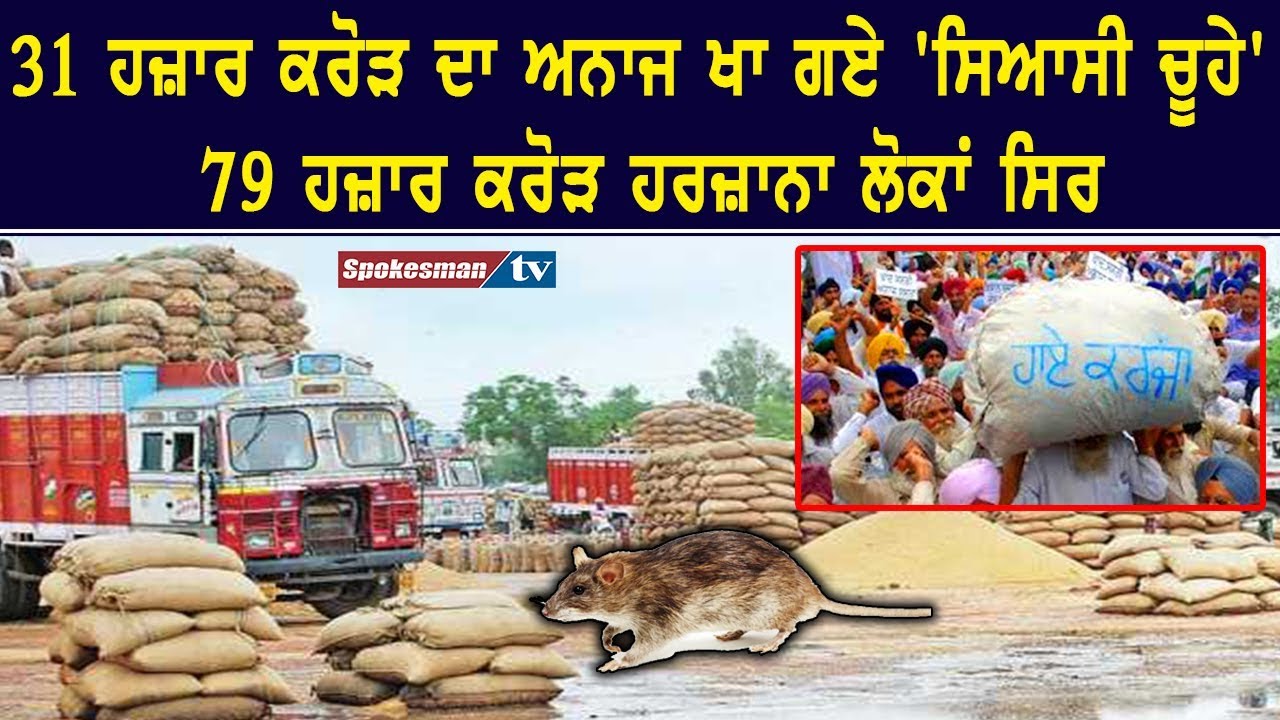 Managing editor Nimrat Kaur blog on Punjab Politics Managing editor Nimrat Kaur blog on Punjab Politics