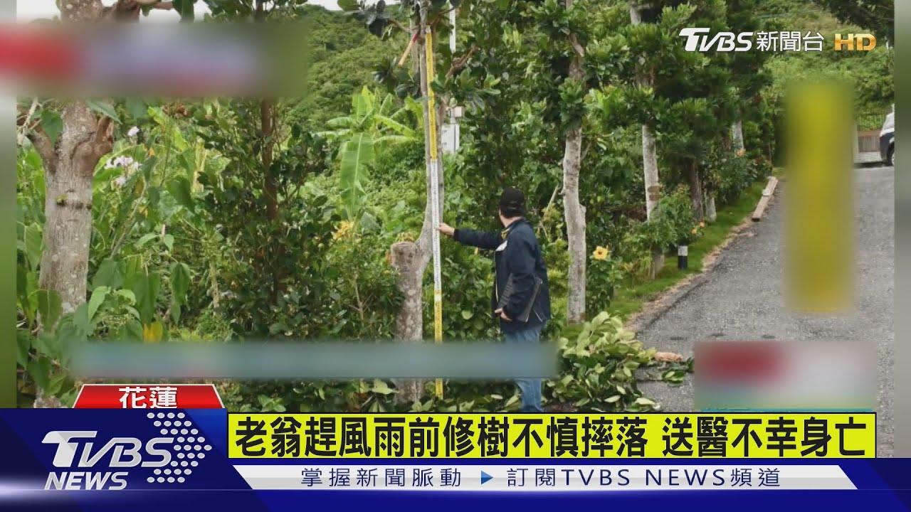 山陀兒添花蓮1死 七旬老翁修樹木摔落不治 花蓮德武里部分道路封閉