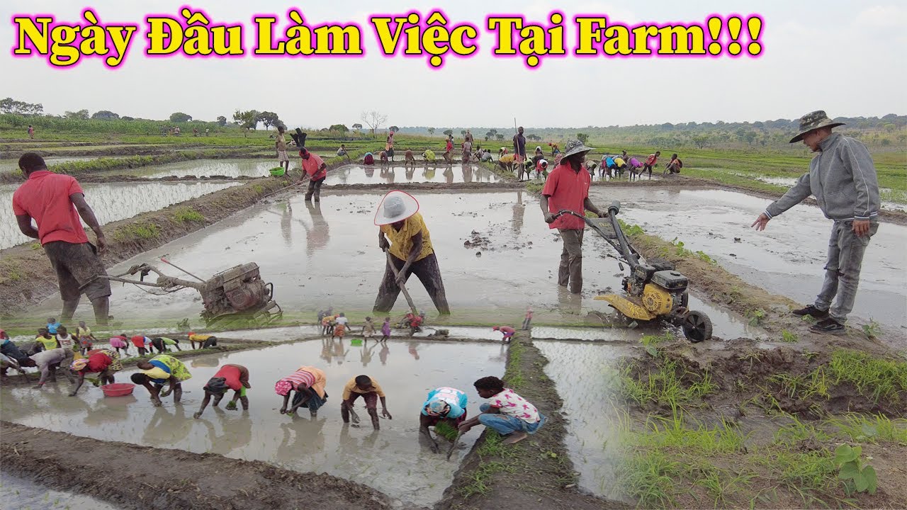 Linh Philip || Bất Ngờ Trước Cách Tổ Chức Phân Công Công Việc Của Em Trợ Lý Mới !!!
