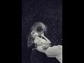 Besame MucHo@Diane SCHUUR 