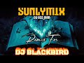 🔥DJ BLACKBIRD X SONLYMIX  (VIBE TIKTOK)🔥