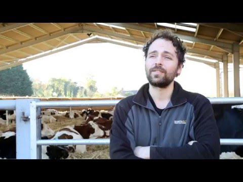 Rustic Cheese: Baron Bigod