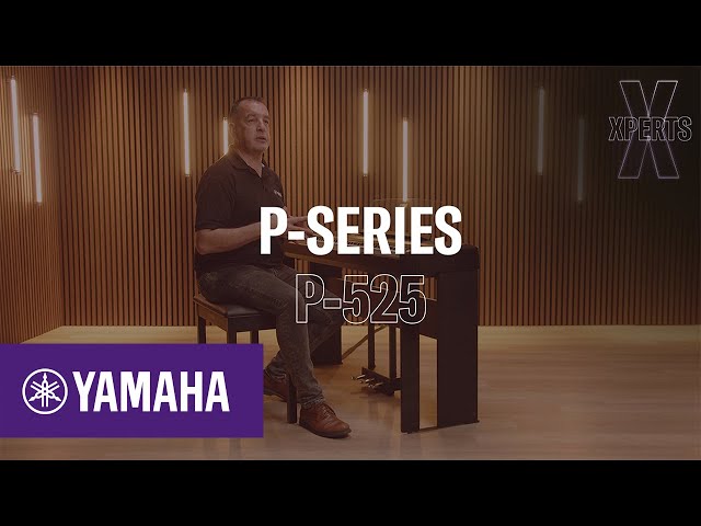 Vídeo relacionado con Yamaha Foot Pedal FC35 Digital Piano (P-Series) P-121 / P-125 / P-125a / P-225 / P-515 / P-525 / P-S500 / DGX-670