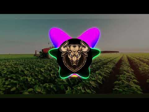 Olha a Braba - US Agroboy e Davi Kneip Prod. Biel Rocha com grave