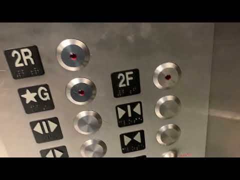 Publix- Crossroads-St. Pete FL-13