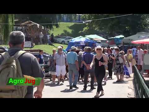 Dani banice u beloj Palanci 16. put 250 takmičara i oko 50.000 posetilaca!!!